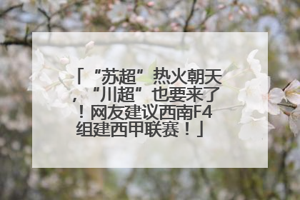 “苏超”热火朝天，“川超”也要来了！网友建议西南F4组建西甲联赛！