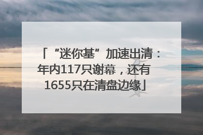 “迷你基”加速出清：年内117只谢幕，还有1655只在清盘边缘