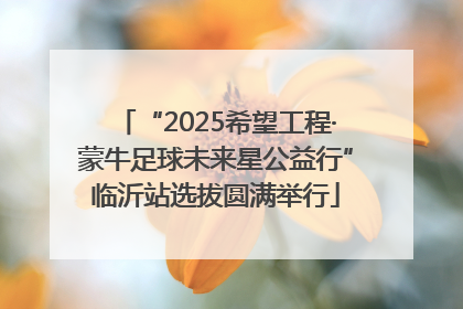 “2025希望工程·蒙牛足球未来星公益行”临沂站选拔圆满举行