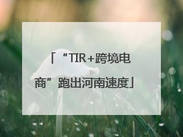 “TIR+跨境电商”跑出河南速度