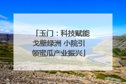 玉门：科技赋能戈壁绿洲 小院引领蜜瓜产业振兴