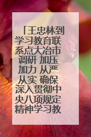 王忠林到学习教育联系点大冶市调研 加压加力 从严从实 确保深入贯彻中央八项规定精神学习教育取得实效