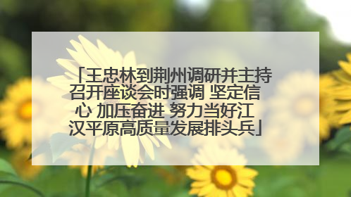 王忠林到荆州调研并主持召开座谈会时强调 坚定信心 加压奋进 努力当好江汉平原高质量发展排头兵