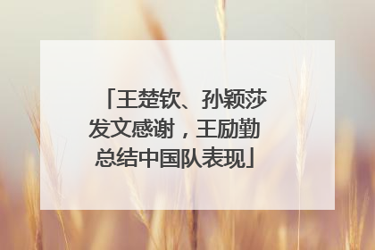 王楚钦、孙颖莎发文感谢，王励勤总结中国队表现