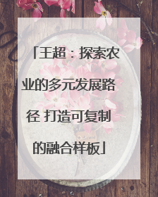 王超：探索农业的多元发展路径 打造可复制的融合样板