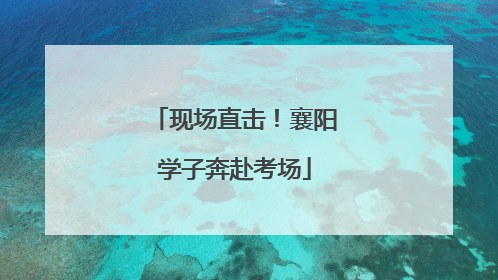 现场直击！襄阳学子奔赴考场