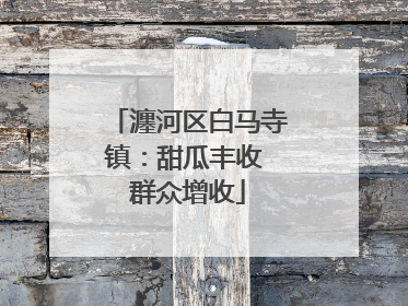 瀍河区白马寺镇：甜瓜丰收 群众增收