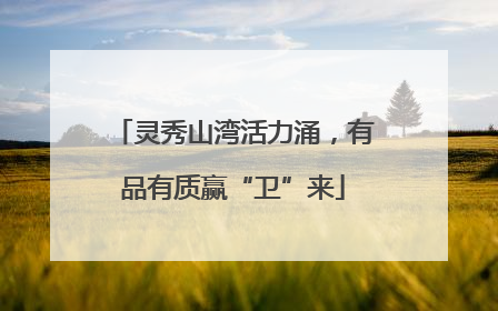 灵秀山湾活力涌，有品有质赢“卫”来