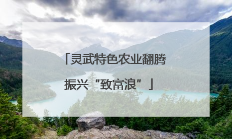 灵武特色农业翻腾振兴“致富浪”
