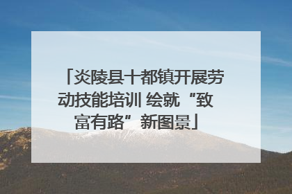 炎陵县十都镇开展劳动技能培训 绘就“致富有路”新图景
