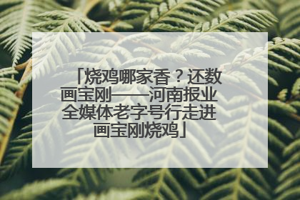 烧鸡哪家香？还数画宝刚——河南报业全媒体老字号行走进画宝刚烧鸡