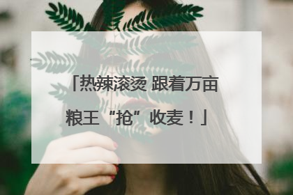 热辣滚烫 跟着万亩粮王“抢”收麦！