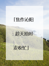 焦作沁阳：趁天抢时麦收忙