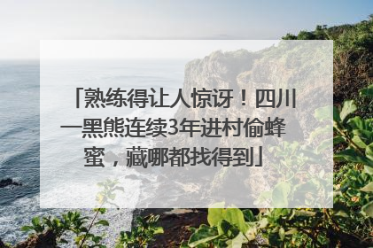 熟练得让人惊讶！四川一黑熊连续3年进村偷蜂蜜，藏哪都找得到