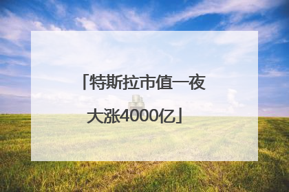 特斯拉市值一夜大涨4000亿