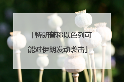 特朗普称以色列可能对伊朗发动袭击