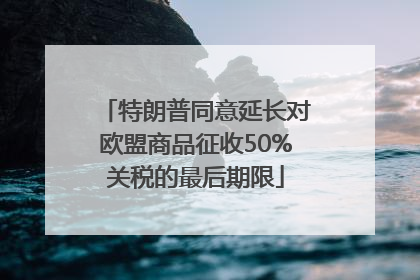 特朗普同意延长对欧盟商品征收50%关税的最后期限