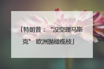 特朗普：“没空理马斯克” 欧洲抛橄榄枝