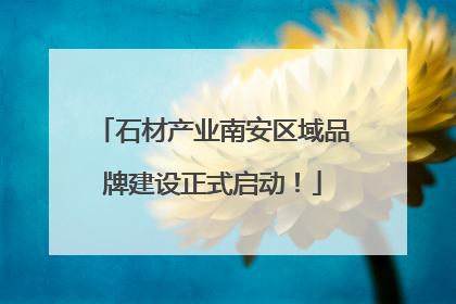 石材产业南安区域品牌建设正式启动！