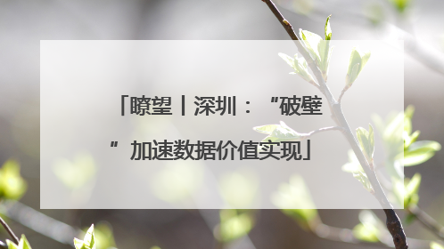 瞭望丨深圳：“破壁”加速数据价值实现