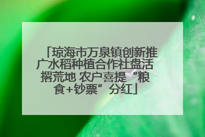 琼海市万泉镇创新推广水稻种植合作社盘活撂荒地 农户喜提“粮食+钞票”分红