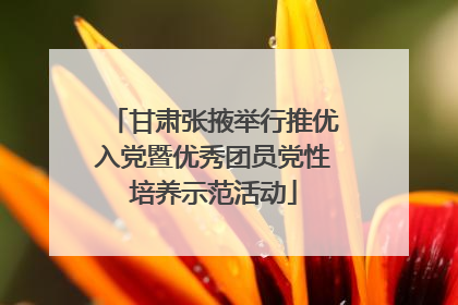 甘肃张掖举行推优入党暨优秀团员党性培养示范活动