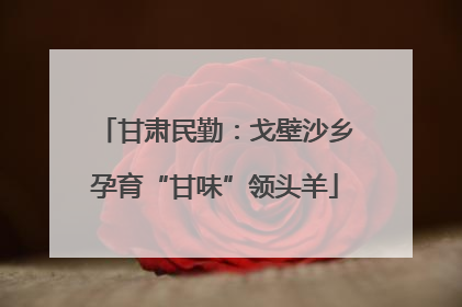 甘肃民勤：戈壁沙乡孕育“甘味”领头羊