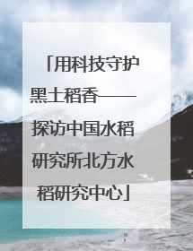 用科技守护黑土稻香——探访中国水稻研究所北方水稻研究中心