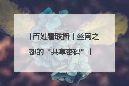 百姓看联播丨丝网之都的“共享密码”