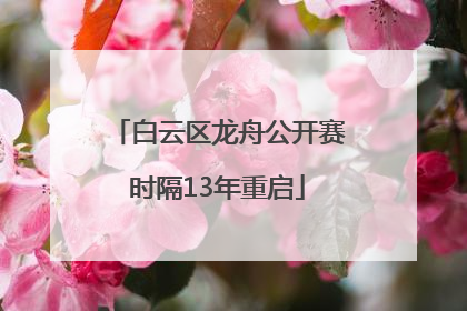 白云区龙舟公开赛时隔13年重启
