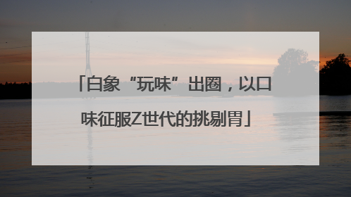 白象“玩味”出圈，以口味征服Z世代的挑剔胃