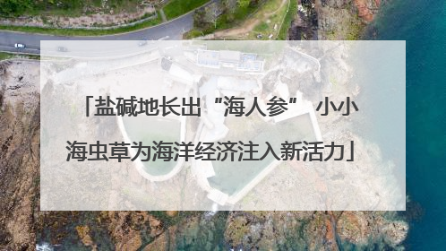 盐碱地长出“海人参” 小小海虫草为海洋经济注入新活力