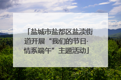 盐城市盐都区盐渎街道开展“我们的节日·情系端午”主题活动