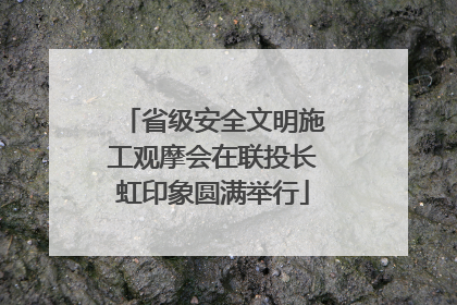 省级安全文明施工观摩会在联投长虹印象圆满举行