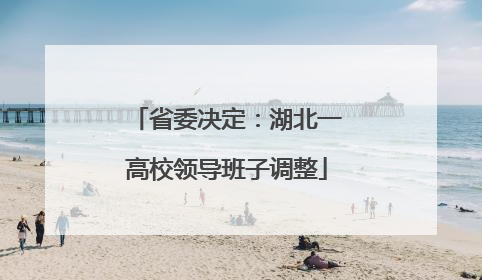 省委决定：湖北一高校领导班子调整