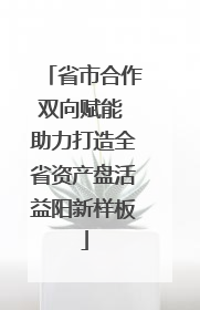 省市合作双向赋能 助力打造全省资产盘活益阳新样板