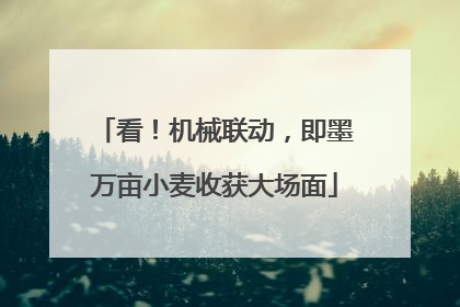 看！机械联动，即墨万亩小麦收获大场面