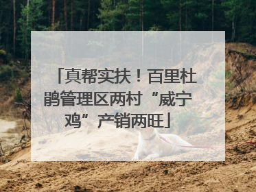 真帮实扶！百里杜鹃管理区两村“威宁鸡”产销两旺