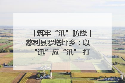 筑牢“汛”防线｜慈利县罗塔坪乡：以“迅”应“汛” 打赢暴雨防御战