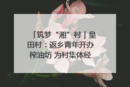 筑梦“湘”村｜皇田村：返乡青年开办榨油坊 为村集体经济“加油”