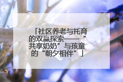 社区养老与托育的双赢探索——“共享奶奶”与孩童的“朝夕相伴”