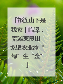 祁连山下是我家｜临泽：荒滩变良田 戈壁农业添“绿”生“金”