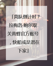 离队倒计时？拉梅洛·鲍尔取关黄蜂官方账号，快船或是潜在下家
