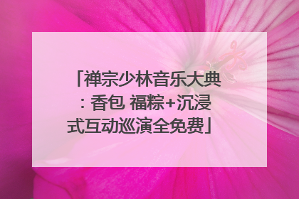 禅宗少林音乐大典：香包 福粽+沉浸式互动巡演全免费