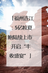 福州连江：5亿粒夏鲍陆续上市 开启“丰收盛宴”