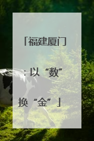 福建厦门：以“数”换“金”
