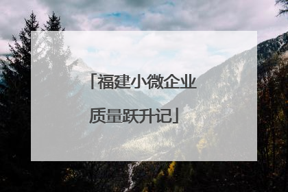 福建小微企业质量跃升记