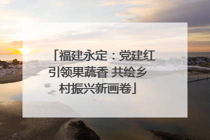 福建永定：党建红引领果蔬香 共绘乡村振兴新画卷