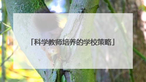 科学教师培养的学校策略