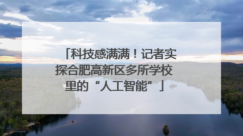 科技感满满！记者实探合肥高新区多所学校里的“人工智能”